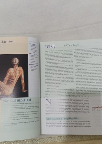 Fizyolojik Psikoloji - Neil R. Carlson - Görsel 5