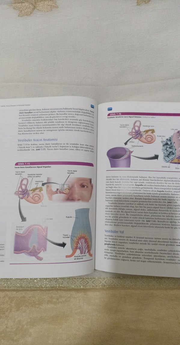 Fizyolojik Psikoloji - Neil R. Carlson - Görsel 3