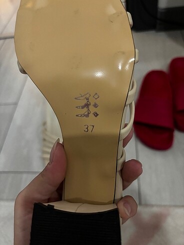 37 Beden Terlik