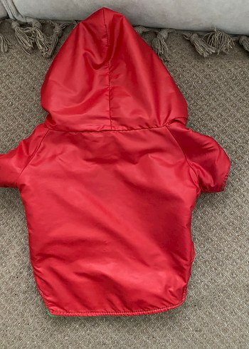 Düğmeli Kırmızı Kapüşonlu Köpek Montu - Görsel 3
