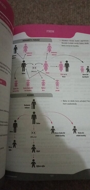 Beden Renk Asya tekin DİKAB Ders notları