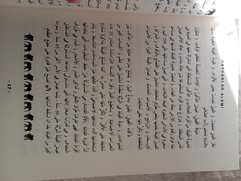 YÖKDİL-YDS Arapça Modern Metin Okumaları Kitabı - Görsel 3