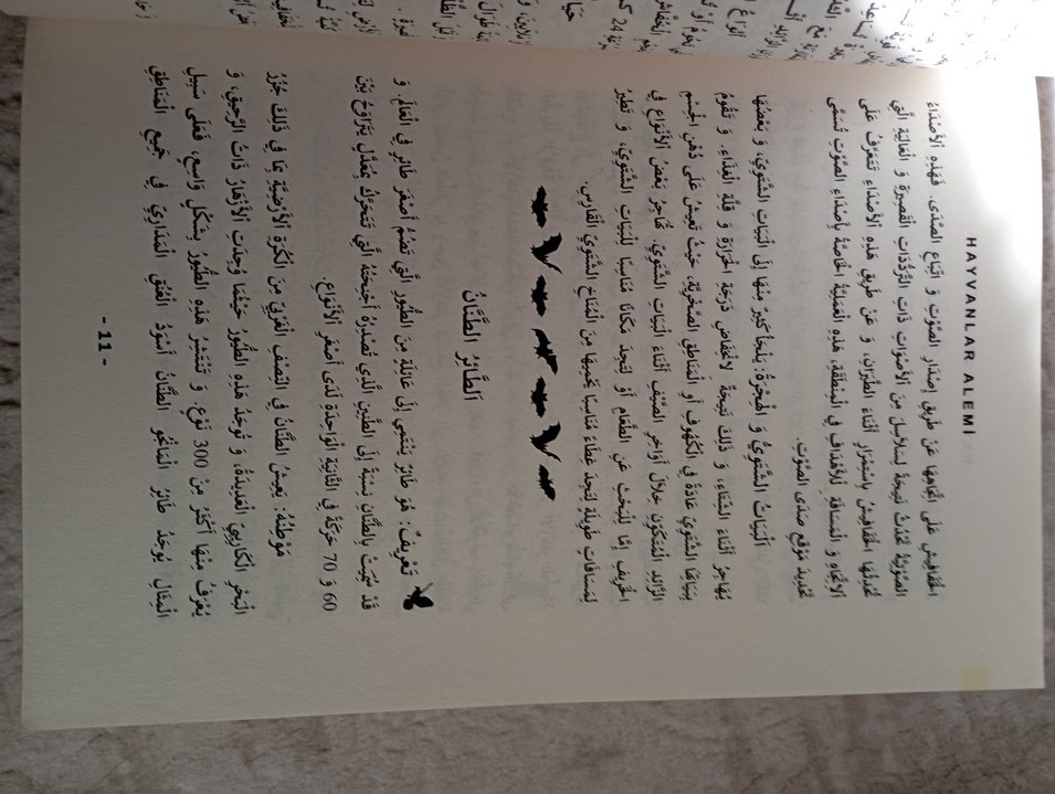 YÖKDİL-YDS Arapça Modern Metin Okumaları Kitabı - Görsel 4