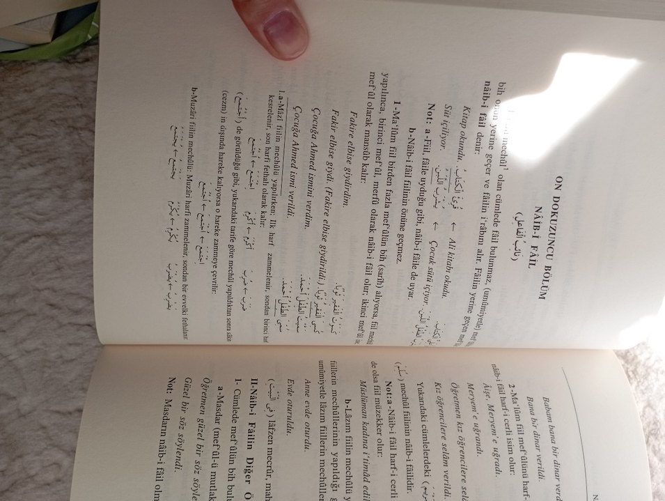 Arapça Dilbilgisi Nahiv Kitabı - Görsel 5