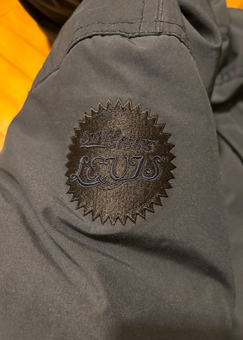 Düğmeli Gri Erkek Midi Mont - Görsel 2