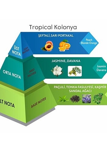 Venilia Tropical Kolonya Eau De Cologne Cam Şişe 200 ML