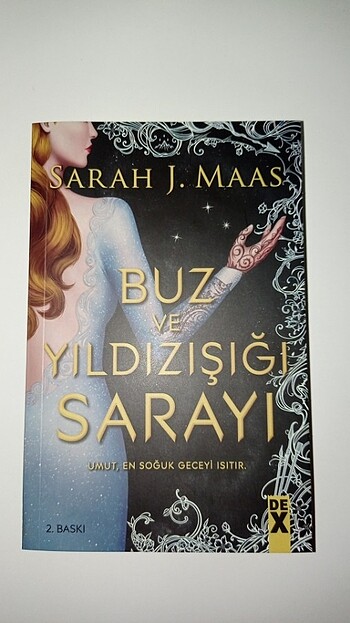 Buz ve yıldızışığı sarayı