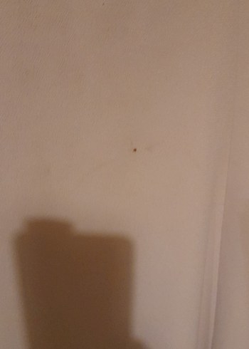 Bej Drapeli Uzun Hamile Eteği - Görsel 3