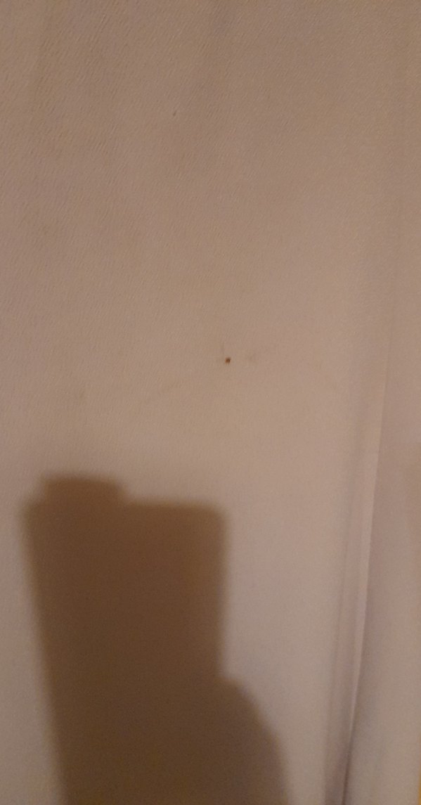 Bej Drapeli Uzun Hamile Eteği - Görsel 3