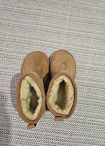 31 Beden Ugg bot