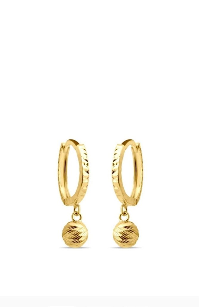 14 Ayar 1.1 gram Altın Sallantili Küpe - Görsel 5