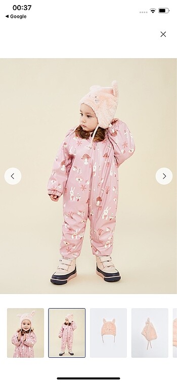 Astronot mont