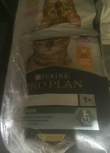 Pro plan kavuklu kedi mamasi 10 kg