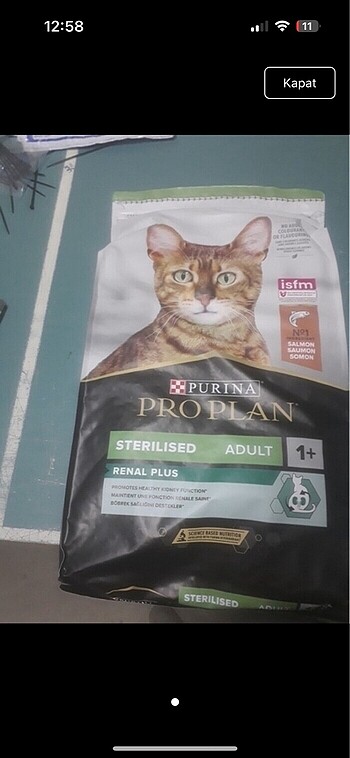 Pro plan somonlu kedi maması 10 kg