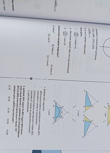 Beden Bilgi sarmal ayt matematik branş denemesi