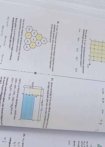 Beden Renk Bilgi sarmal ayt matematik branş denemesi