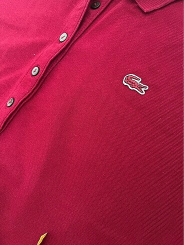 Lacoste Lacoste polo yaka tshirt