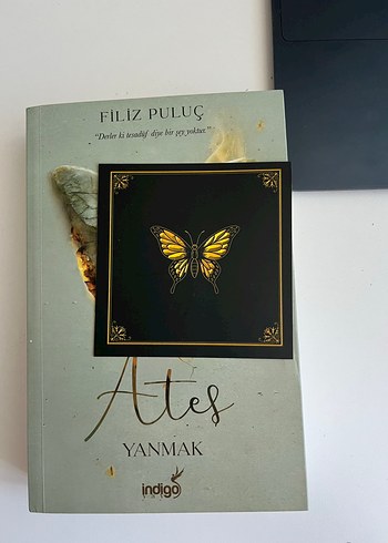 Beden Renk Ateş Yanmak Filiz Puluç