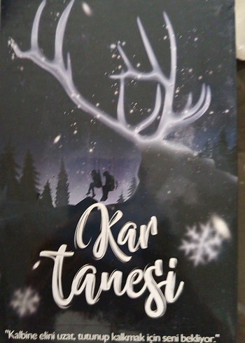 Beyza Alkoç - Kar Tanesi Roman Seti
