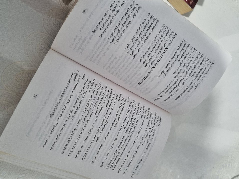 Çağdaş Türk Şiiri Antolojisi Kitap - Görsel 2