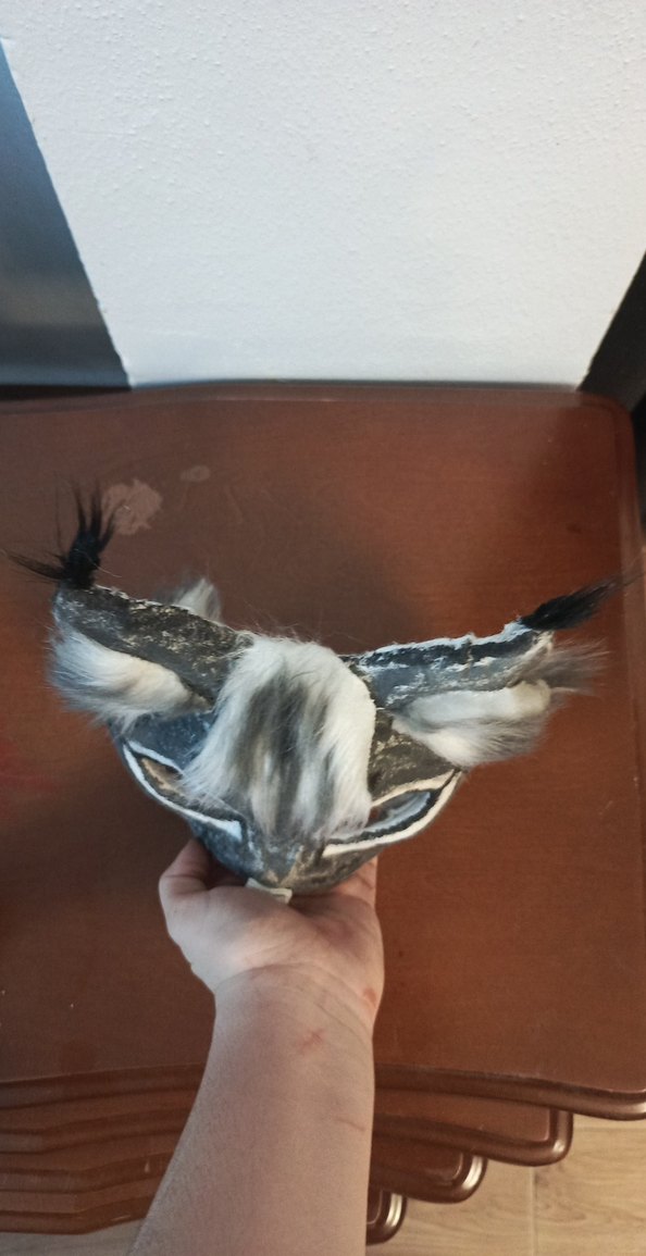 gri vaşak maskesi - Görsel 5