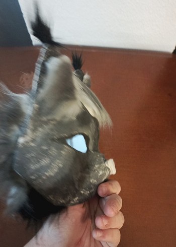 gri kedi maskesi - Görsel 4