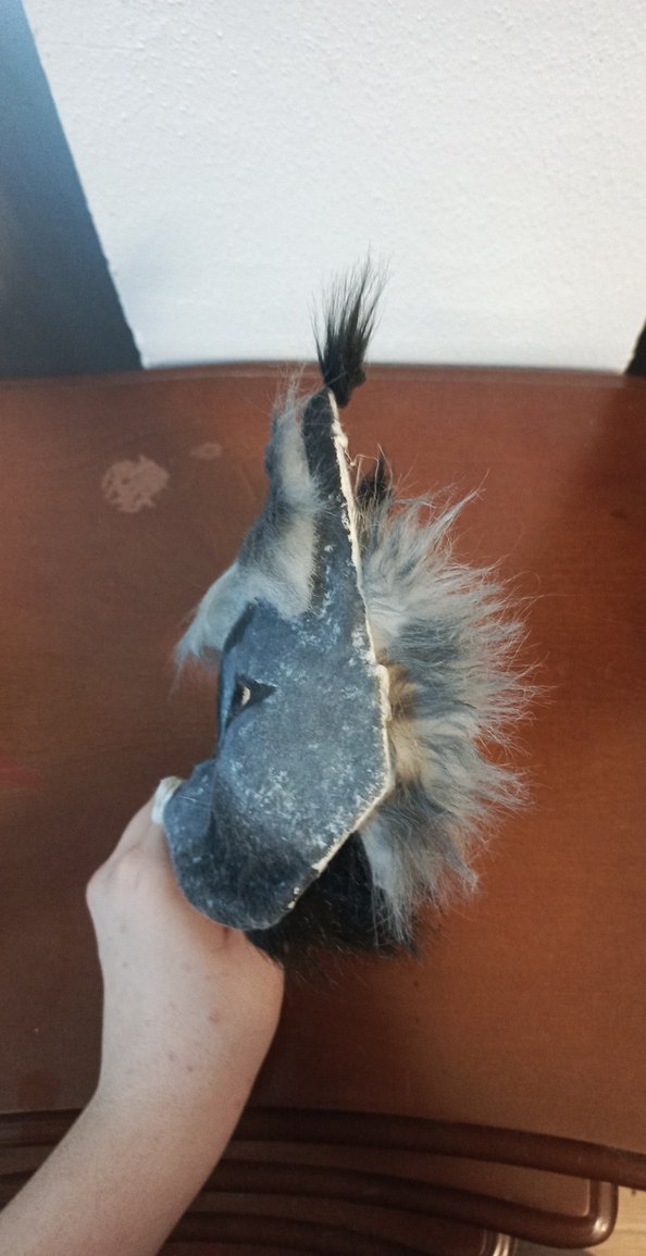 gri kedi maskesi - Görsel 2