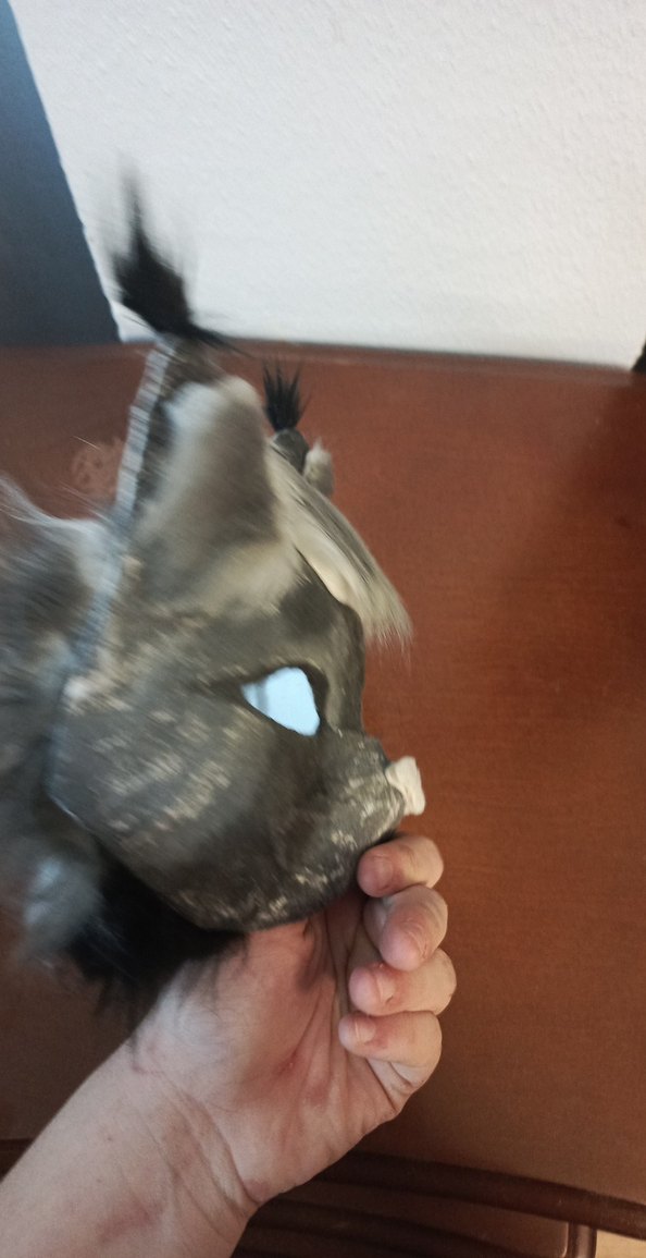 gri kedi maskesi - Görsel 4