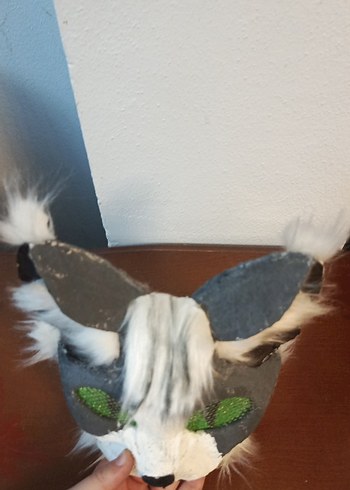 gri kedi maskesi - Görsel 5