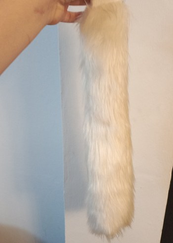 Beyaz Kürk kuyruk - Görsel 2