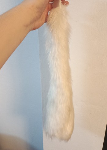 Beyaz Kürk kuyruk - Görsel 3