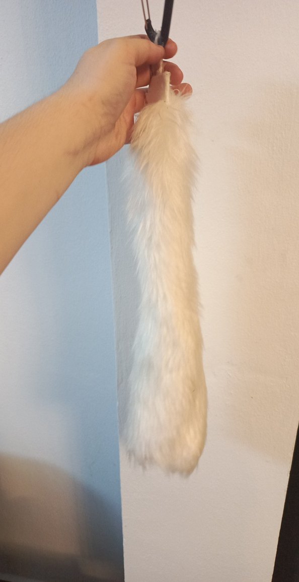 Beyaz Kürk kuyruk - Görsel 3