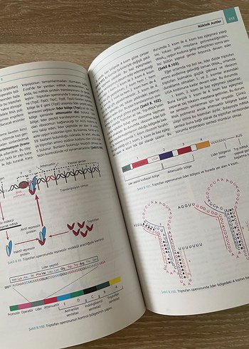 Moleküler Hücre Biyolojisi - Prof. Dr. Hasan Veysi Güneş