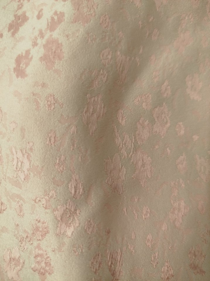 Pudra Pembe Düğmeli Kadın Blazer Ceket - Görsel 5