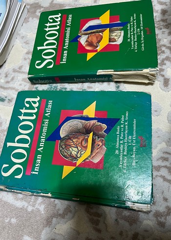 Beden Sobotta İnsan Anatomisi Atlası Seti