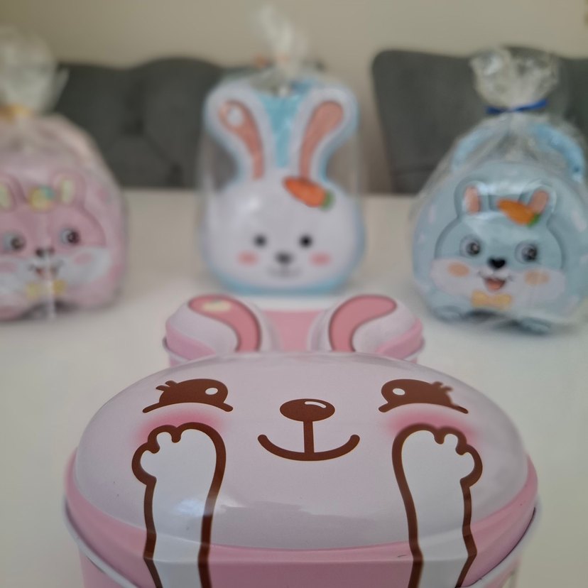 Pembe Tavşan Desenli Kilitli Kumbara. Çocuk Ve Yetişkin İçin. - Görsel 4