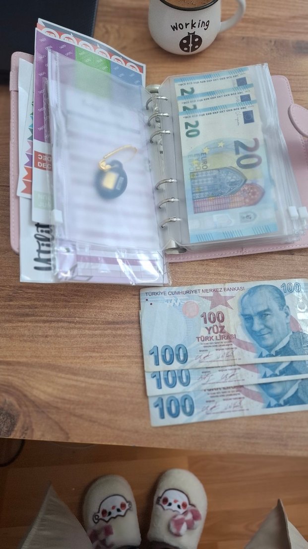 Pembe Bütçe Planlayıcı Birikim Defteri - Görsel 4