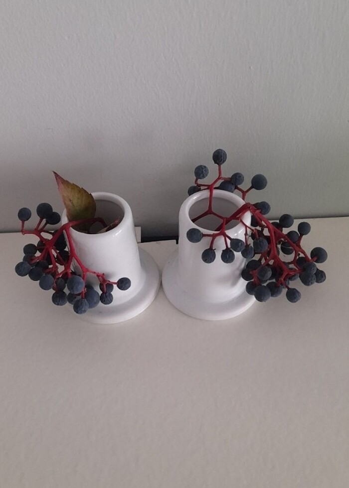 Karaca raf süsü  - Görsel 2