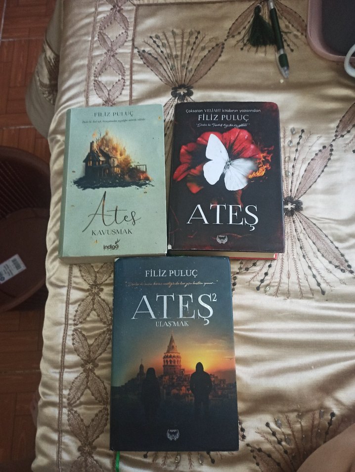 Filiz Puluc'tan 3 Kitap: Ateş Serisi - Görsel 2