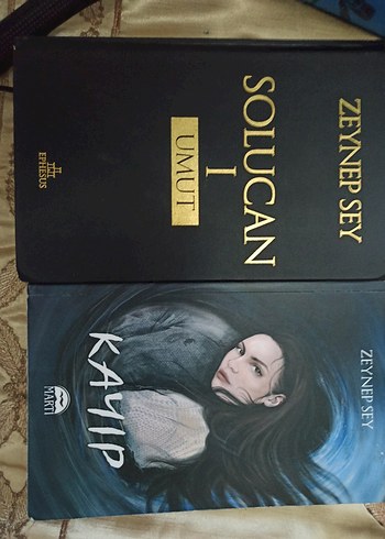 Beden Renk Zeynep Sey Kayıp Romanı