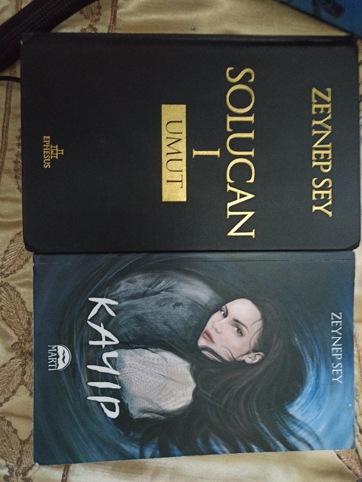 Zeynep  Sey Kayıp Romanı - Görsel 4