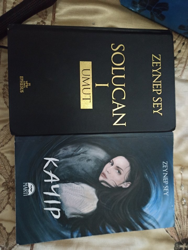 Zeynep  Sey Kayıp Romanı - Görsel 3