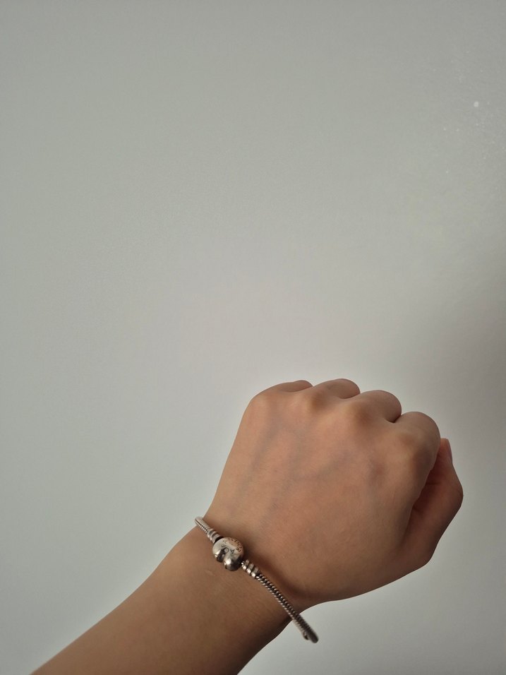 Yılan Desenli Zincir Detaylı pandora bileklik - Görsel 5