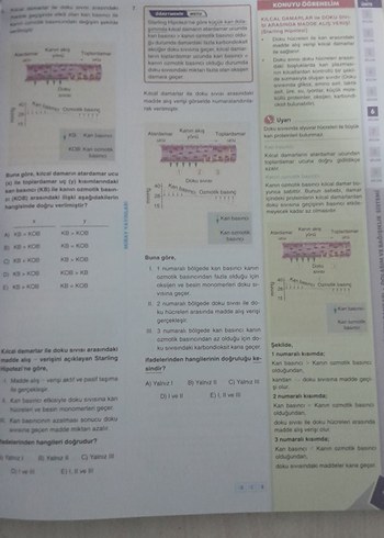 AYT Biyoloji Miray Yayınları Soru Bankası - Görsel 3