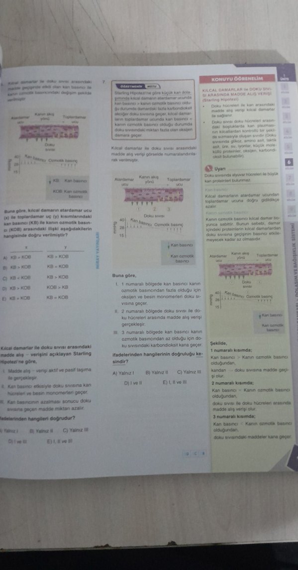 AYT Biyoloji Miray Yayınları Soru Bankası - Görsel 3