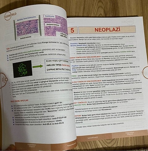  Beden Patoloji tusworld konu kitabı