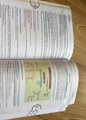 Farmakoloji Efsane Konu Kitabı tusworld - Görsel 7
