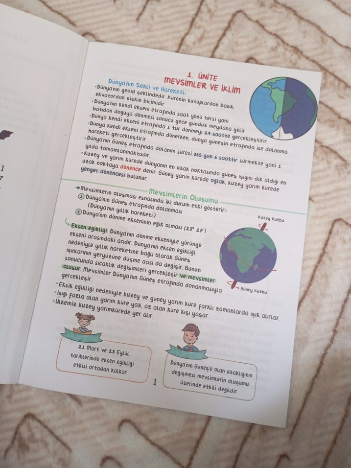 LGS 4lü Çalışma Notları - Görsel 5