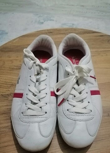 Lacoste Ayakkabı 