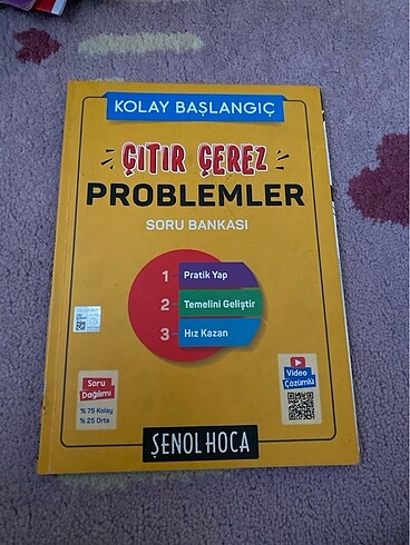 Problemler